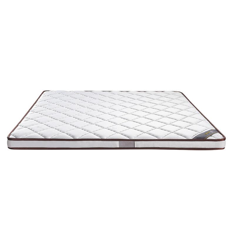 椰棕床垫 棕垫薄床垫硬床垫1.5米1.8m双人床垫经济型棕垫透气