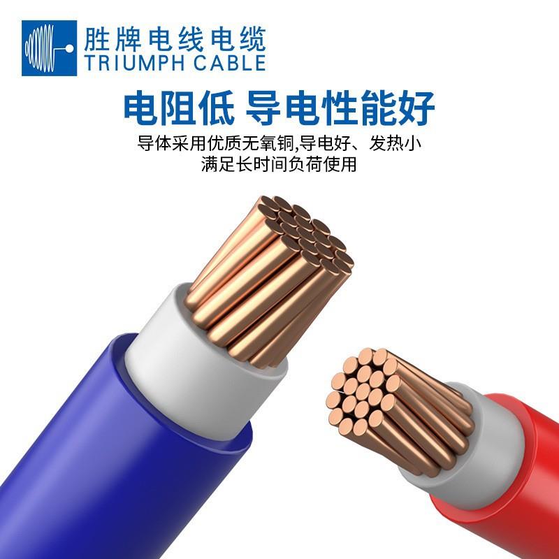 胜牌电缆BVV双绝缘厂房装修线缆家装家用铜芯电线大功率进户总线