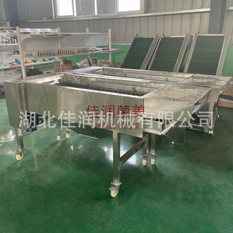 香菇木耳桃胶筛选机产品震动分级农产品传送选菇台大枣食品传送带