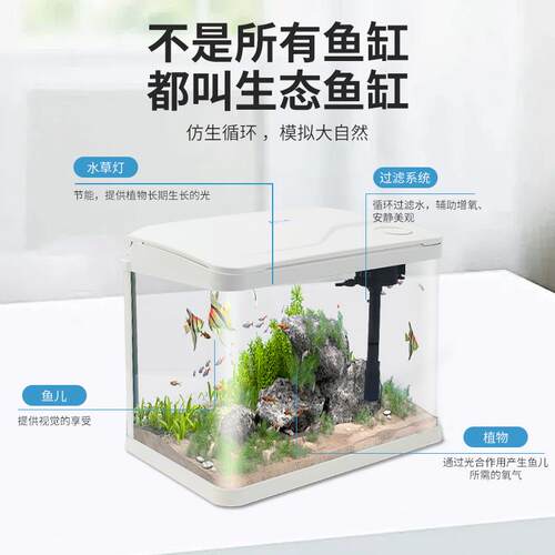 热弯高清玻璃鱼缸客厅小型家用桌面免换水循环生态造景水族箱