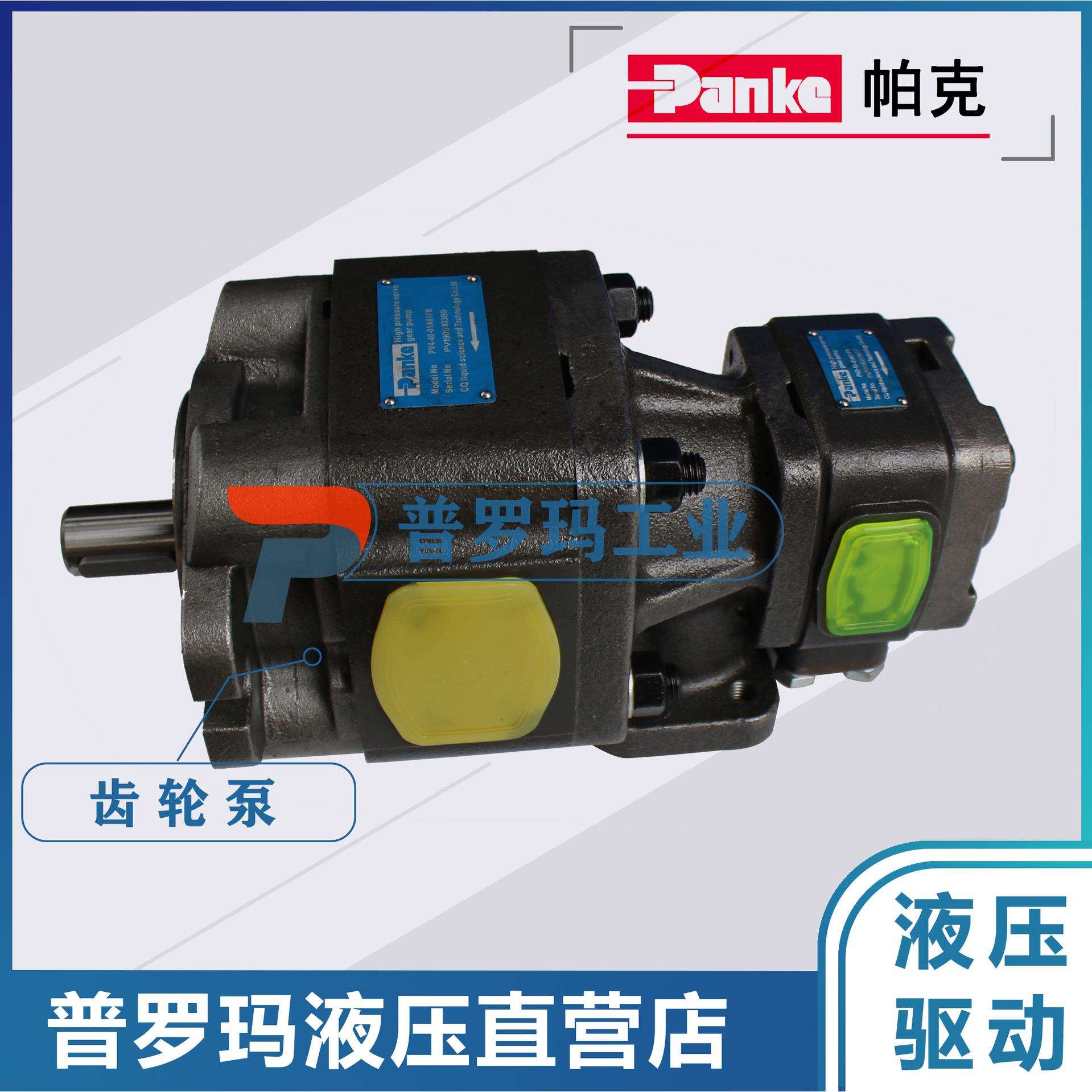 Panke内啮合齿轮泵双联泵伺服电机专用油泵 PV4/2-25-5-02A01FR