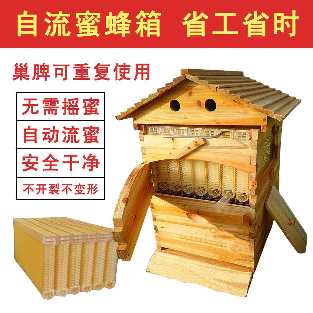 出口型自流蜜蜂箱自流蜜蜜脾 全套自流蜜装置7框蜜脾含蜂箱隔王板