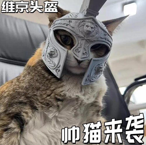 【一个传奇猫的诞生】维京头盔