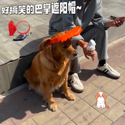 好搞笑的宠物巴掌遮阳帽~