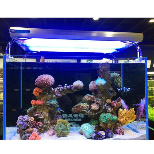 德国KZ灯管水族箱鱼缸led灯管T5HO24/39/54/80W蓝斐济紫蓝白防水