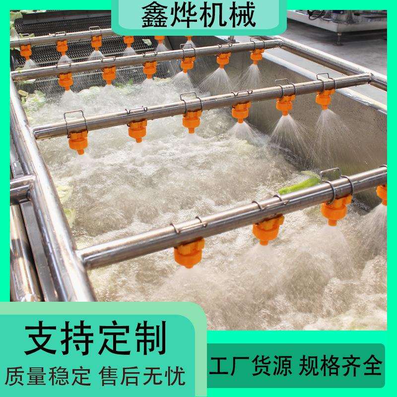 冰糖橙清洗线 柑橘清洗流水线 紫苏叶蚕蛹银耳清洗设备