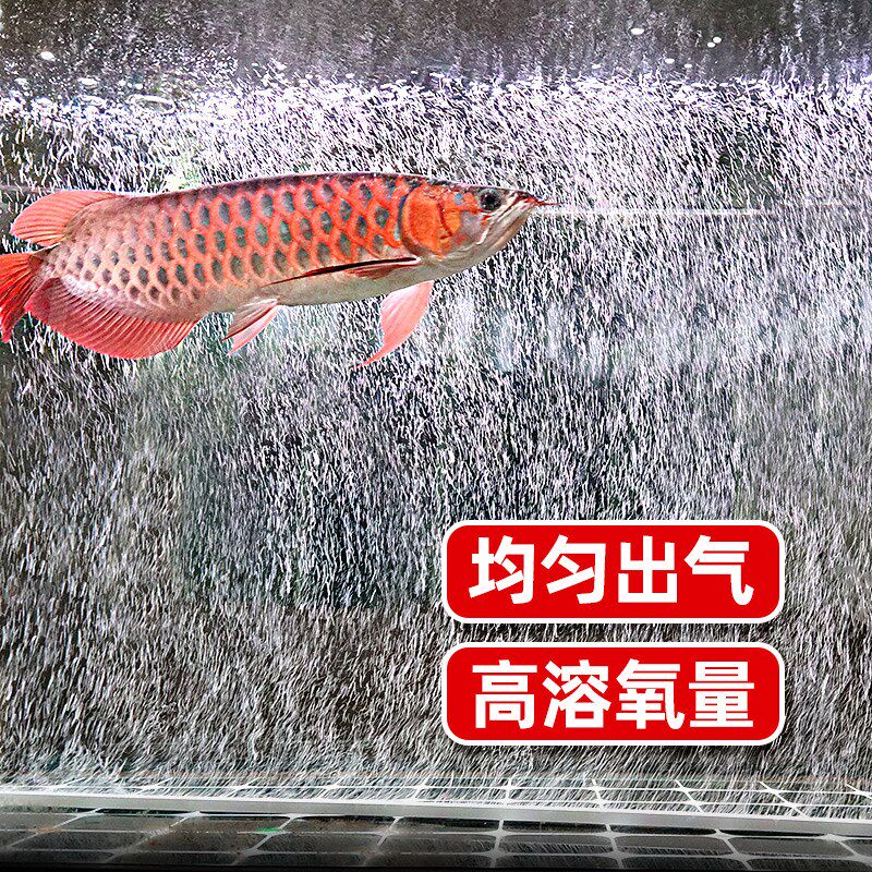 比多克气泡条鱼缸静音气泵 水族设备配件增氧机