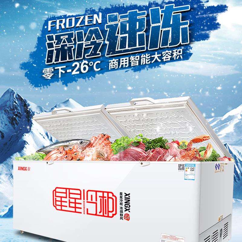 星星冰柜冷藏保鲜冷冻冰箱速冻雪糕冷饮海鲜柜卧式冷柜商用冰柜