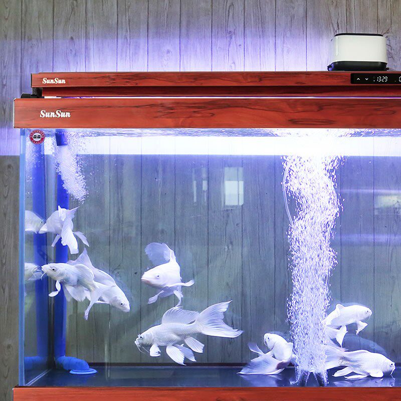格池鱼缸增氧泵静音氧气泵家用增氧机充电两用打氧机冲氧制氧