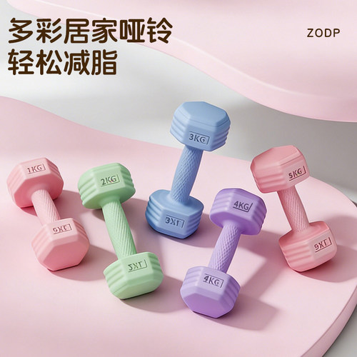 小哑铃女士健身家用套装2KG一对