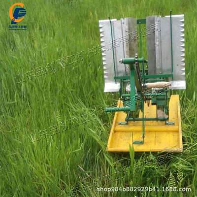 小型手摇式栽秧机 双行人力退行式栽种机 农田通用水稻种植机