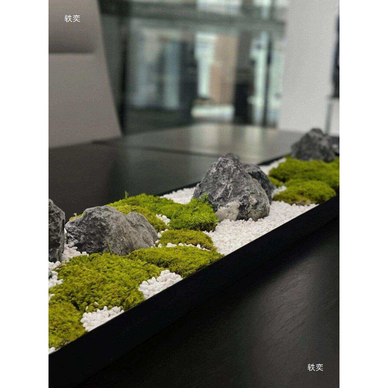 新中式会议桌面长条形微景观永生苔藓干花艺玄关餐桌茶几装饰摆件