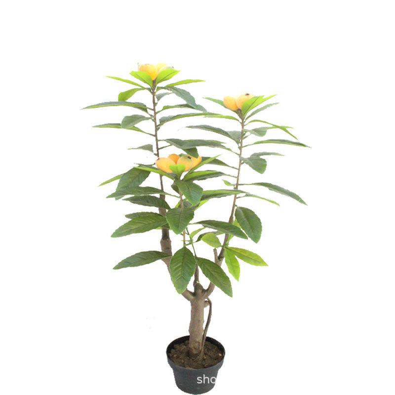 仿真植物17号盆栽枇杷叶树摄影背景枇杷叶叶子落地盆景客厅