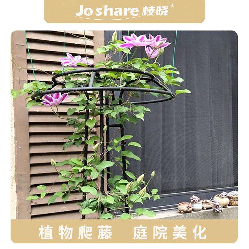 枝晓铁艺花架户外爬藤架庭院花园装饰爬藤架铁线莲月季蔷薇支架子