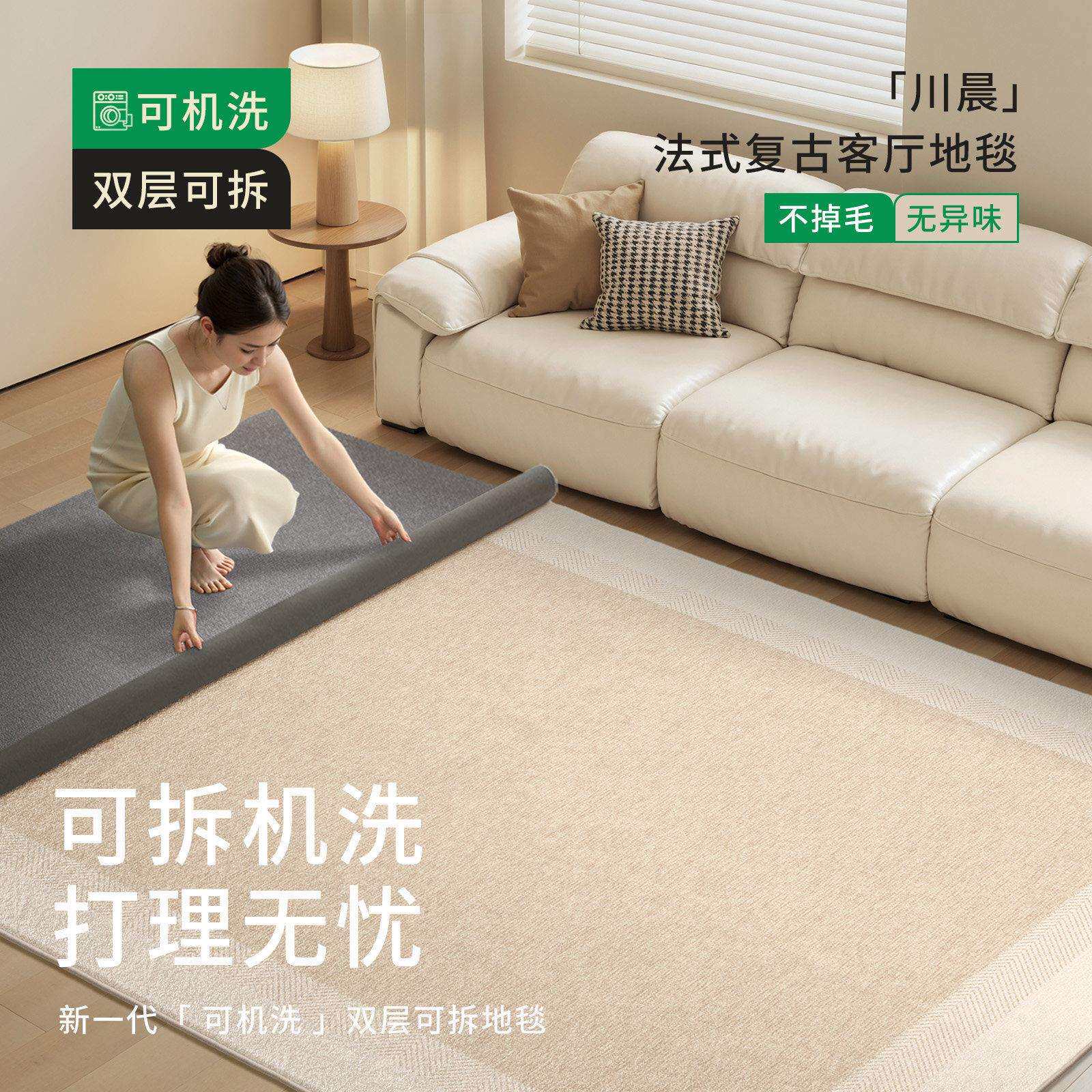 可拆洗地毯客厅新款中古奶油风可拆卸双层家用易打理隔音地垫法式
