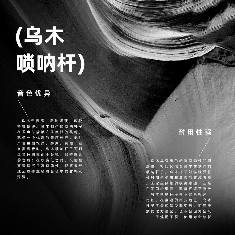 宏艺凤鸣专业黑檀木乌木唢呐6孔笛子全套乌木杆成人儿童初学者