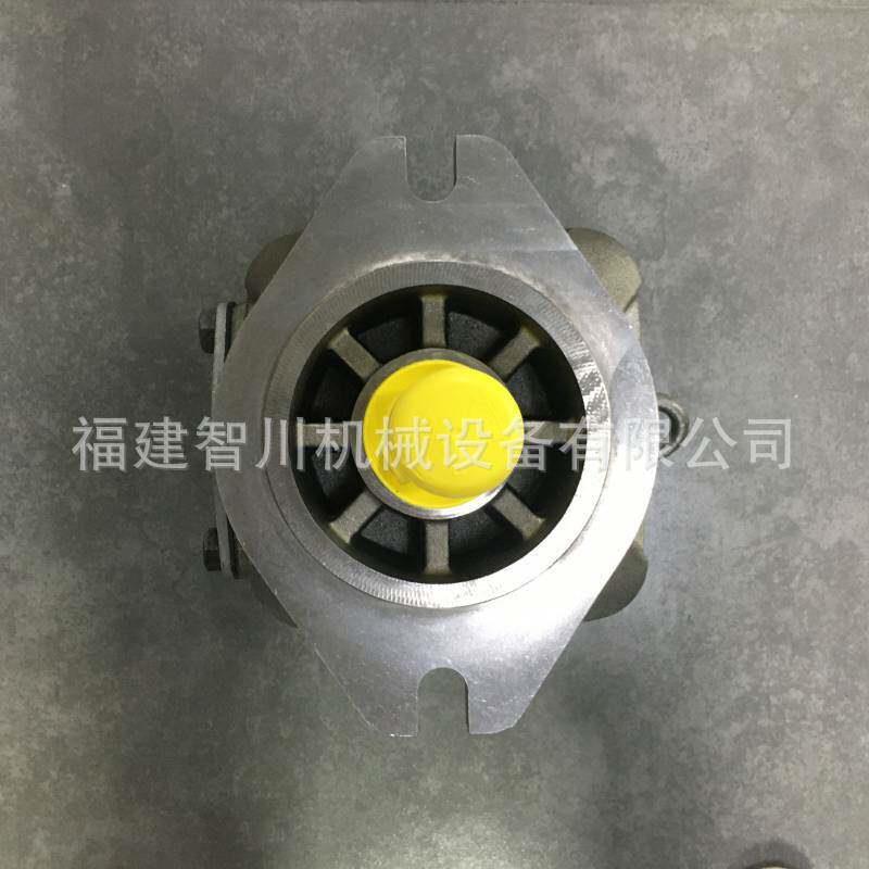 现货 REXROTH力士乐液压齿轮泵R901147121 PGH5-30/250RE07VU2