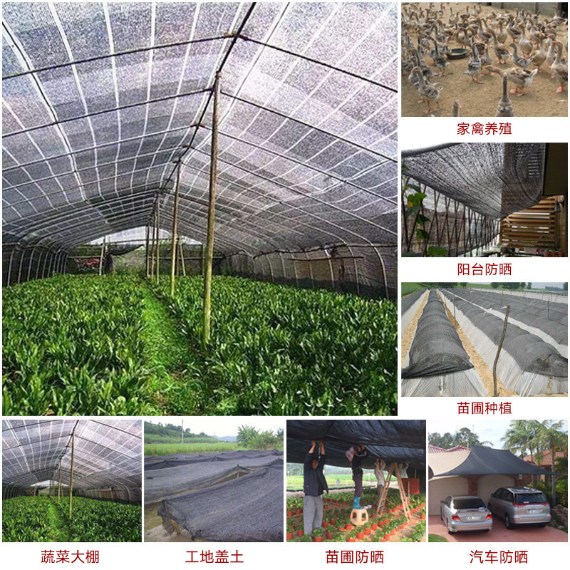 平织遮阳网全新料防晒遮阴网草莓蔬菜辣椒大棚隔热黑纱布太阳网
