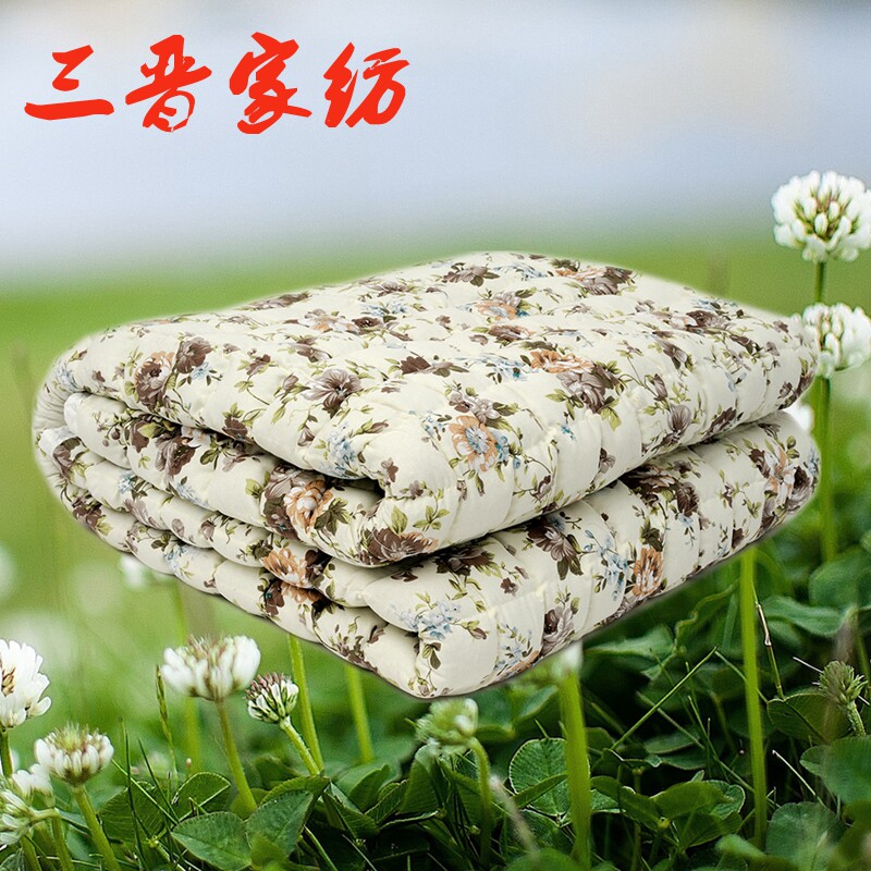 学生荞麦皮褥子苦荞壳床垫单人双人榻榻米1.8m床宿舍荞麦凉席垫子