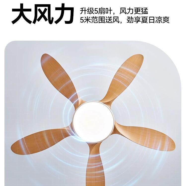 风扇灯2025新款客厅中古风餐厅卧室家用大风力饭店民宿一体吊扇灯