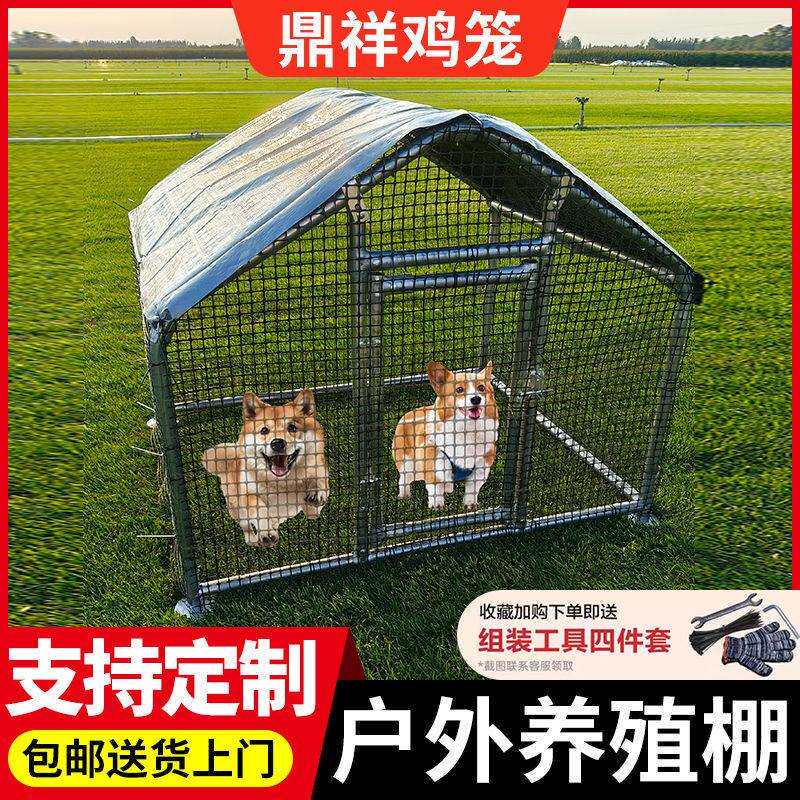 户外养殖鸡棚家禽家用养殖笼挡风防雨简易小型鸽棚可移动养鸡围栏