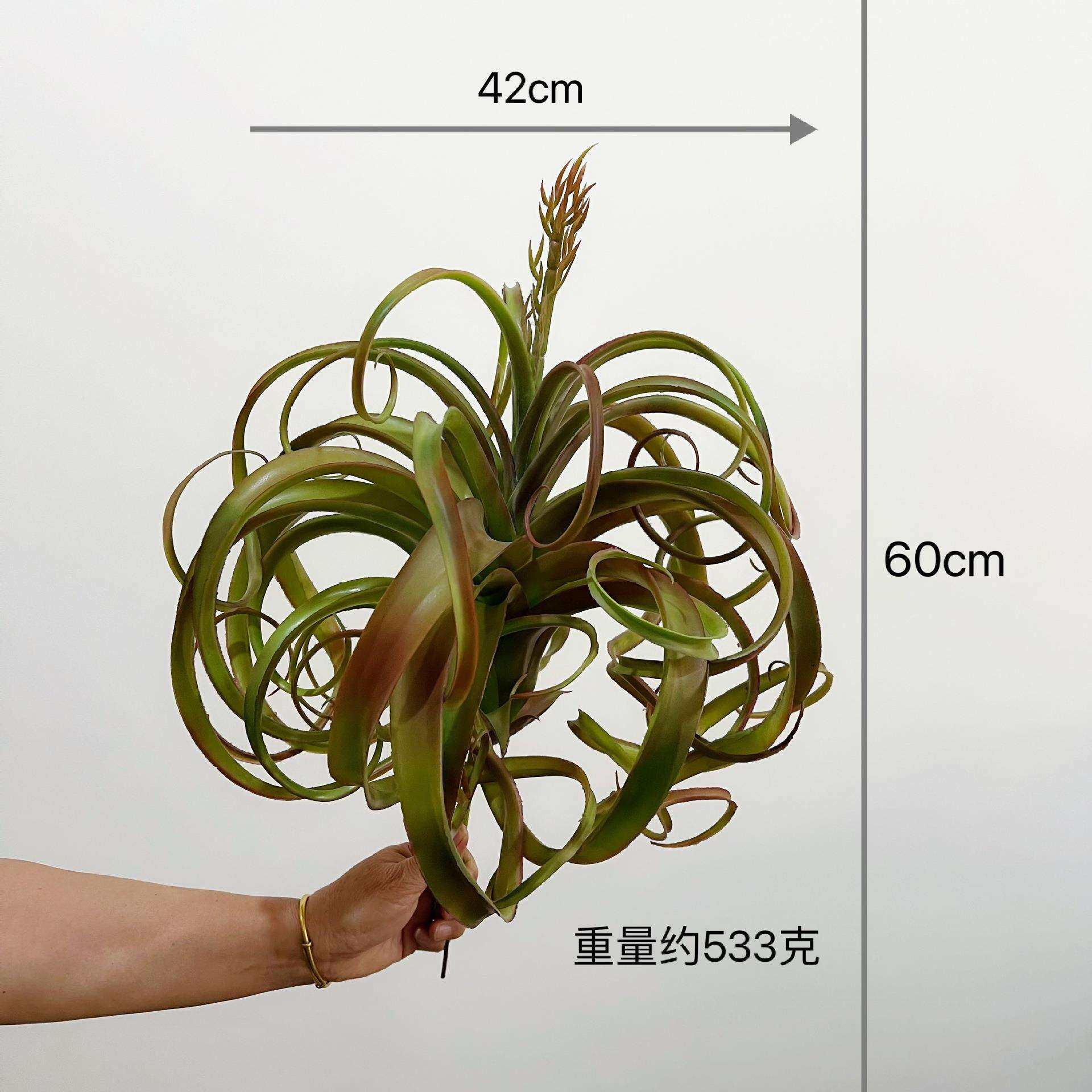 含阳 仿真假沙漠多肉植物特大霸王空气草 凤梨 仿真植物 装饰