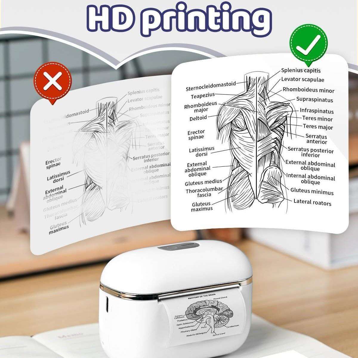Phomemo T02E超迷你热敏打印机照片错题打印机小型家用便携打印机 - 实物图