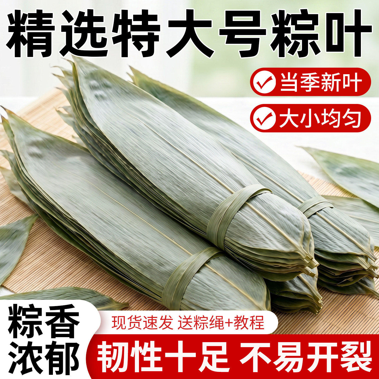 端午节粽子粽叶】26当季粽叶晒干