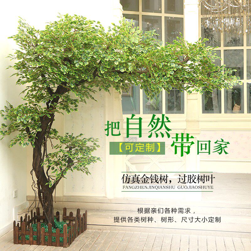 发财树新款落地花艺大型植物橱窗装饰酒店网红背景实木树干摇钱树