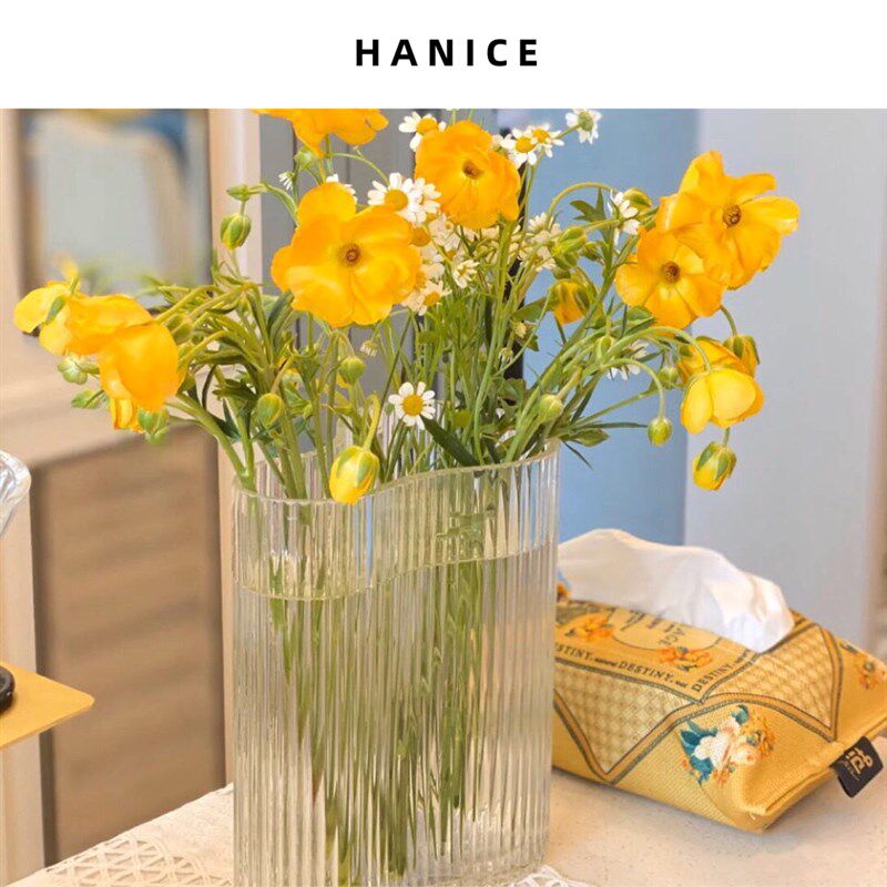 HANICE北欧创意玻璃透明花瓶客厅餐桌玄关鲜花花器水培花瓶摆件