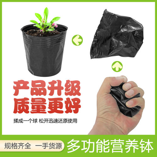 营养杯育苗杯黑色营养钵一次性黑色营养袋育苗袋育秧碗塑料育苗盆