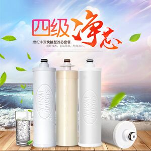世纪丰源10寸快接式滤芯饮水机净水器PP棉超滤颗粒烧结活性炭4支