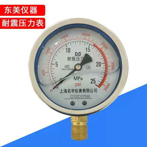 YN100耐震压力表0-0.6/1.6/2.5MPa水压油压液压表抗震径向安装