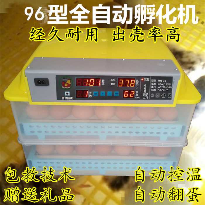 抱小鸡乳化箱全自动包鸡蛋机器操作简单小呼化箱敷教技术卵化器厂