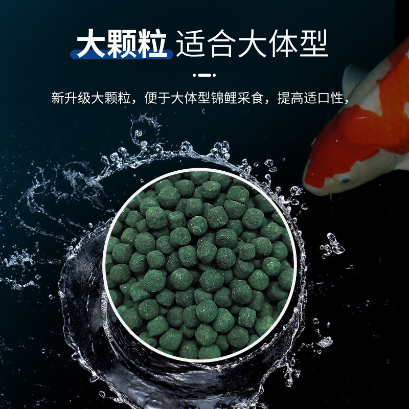 玛豆有益菌大颗粒锦鲤观赏鱼肠道健康要鱼用益生菌等有益菌营养液