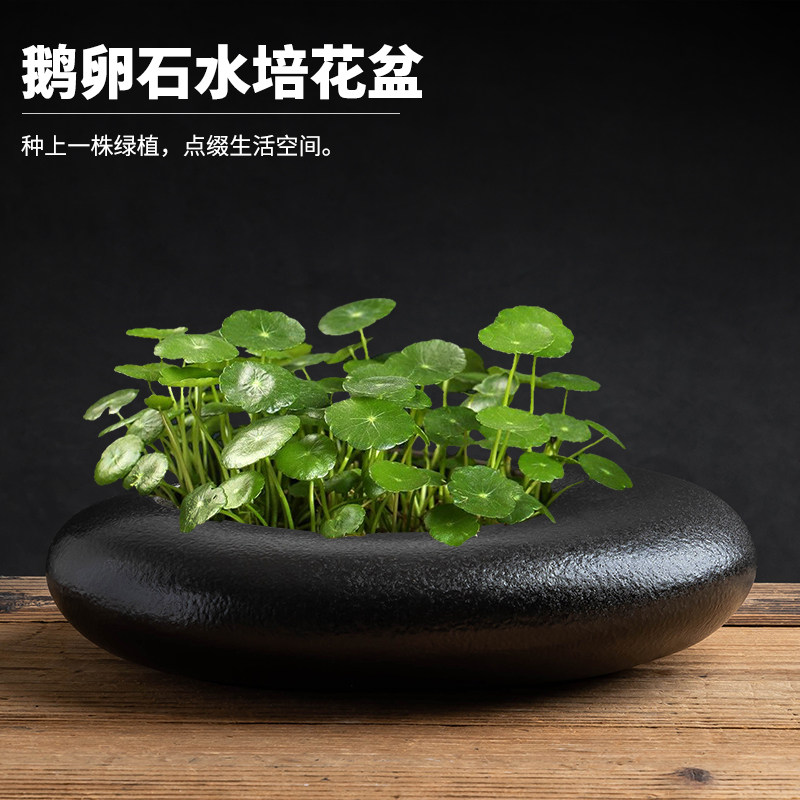 铜钱草水培花盆简约黑白个性陶瓷蛋壳形摆件无孔家用大号植物花器