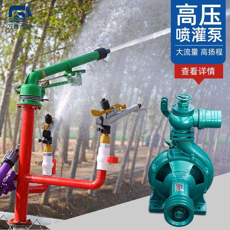 农用高压水泵高扬程抽水机农田喷灌用离心泵
