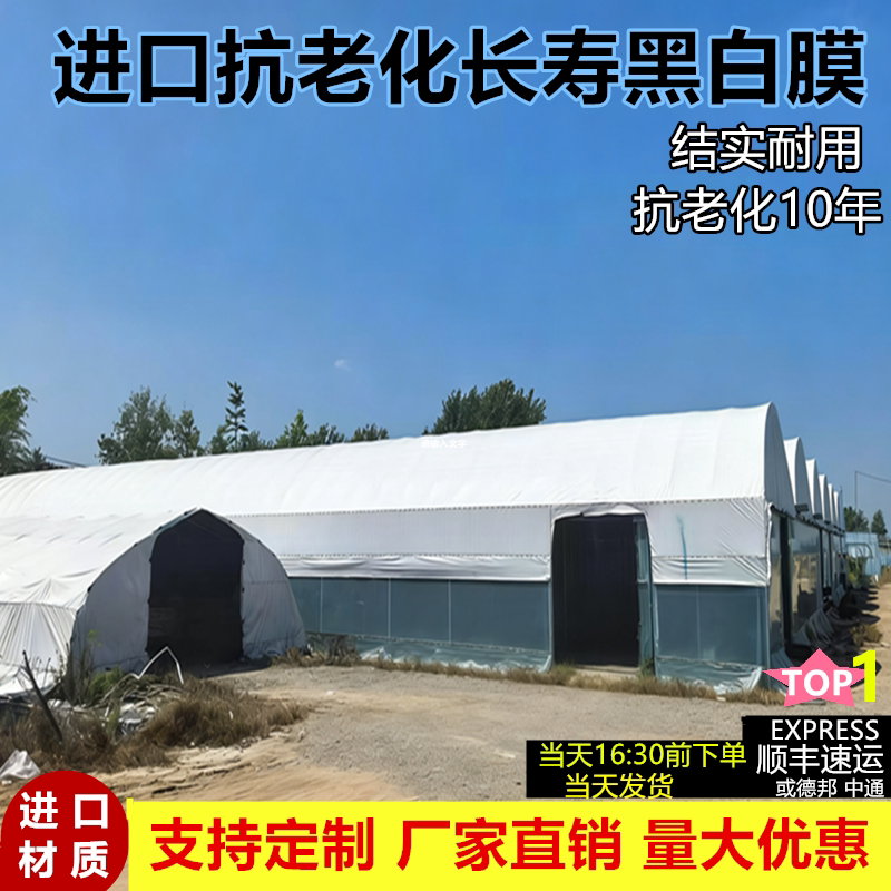 加厚黑白膜防晒隔热反光膜养殖膜