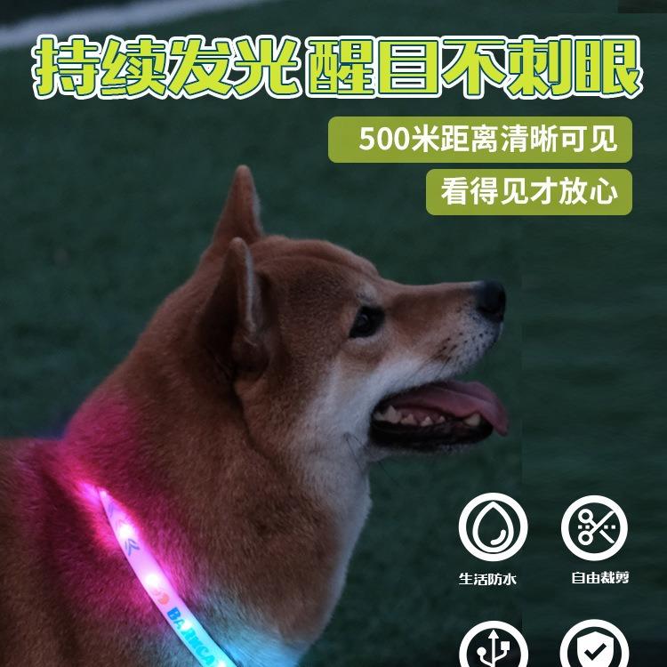 laroo莱诺狗狗发光项圈夜间夜晚遛狗夜行灯中大型犬宠物颈圈脖圈