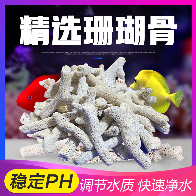 珊瑚砂沙珊瑚石珊瑚骨鱼缸过滤材料稳定水质PH天然底砂水族用品图片