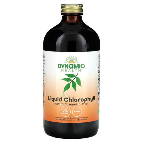 Dynamic Health,液体叶绿素，天然留兰香味