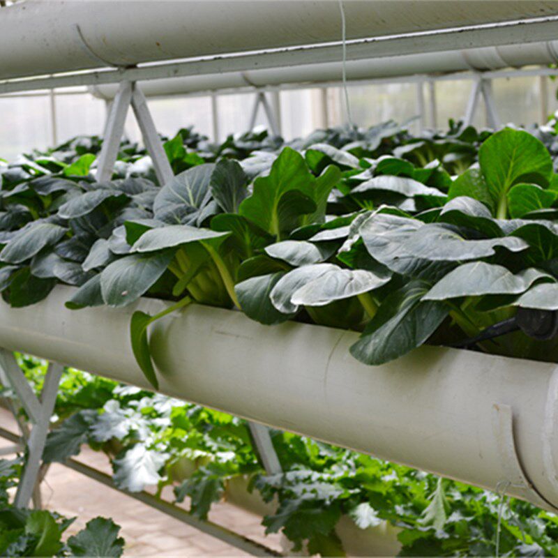 网红水管养鱼阳台花架客厅花盆阳台种菜机管道种菜盆客厅花架