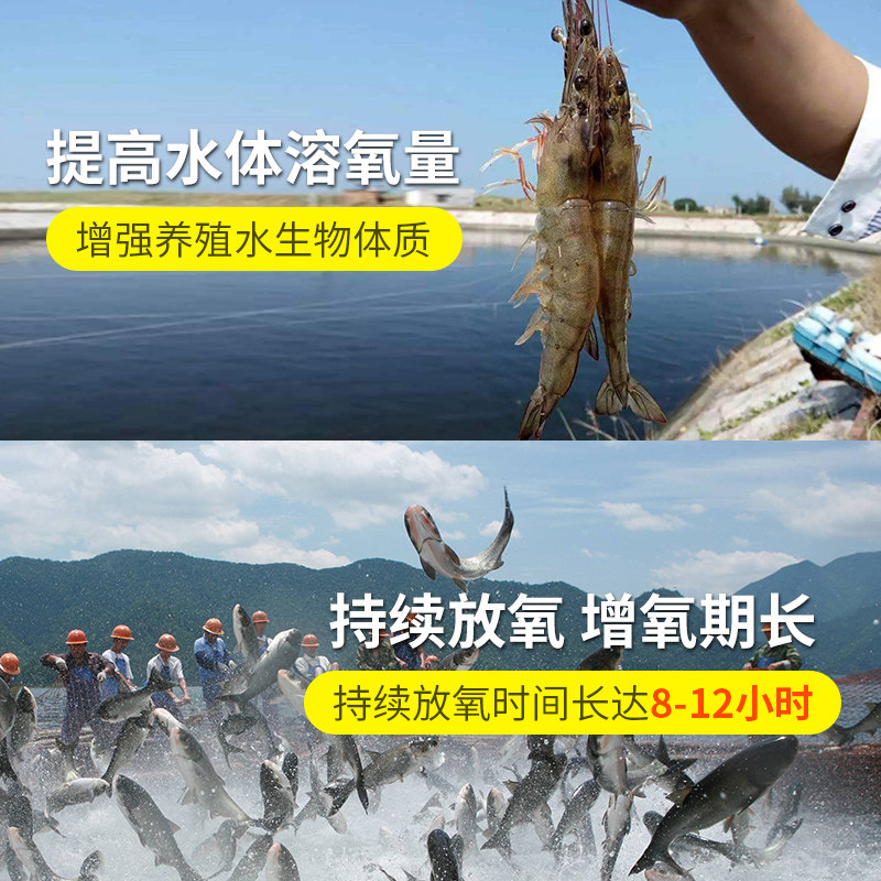 增氧颗粒水产养殖增氧片增氧剂粒粒氧鱼塘鱼缸用氧气过碳酸钠钓鱼