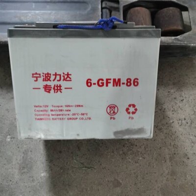 宁波力达6-GFM-86叉车电池CBD15-170H小金刚配件电池