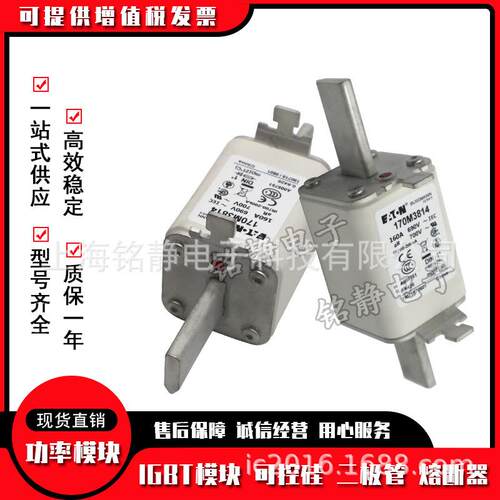 170M3664 170M3665 170M3666 170M3667巴斯曼熔断器现货170M3668