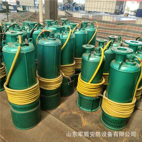 矿用铸铁防爆BQS800-90-315/NKW排沙潜水泵 隔爆型机械密封电动泵