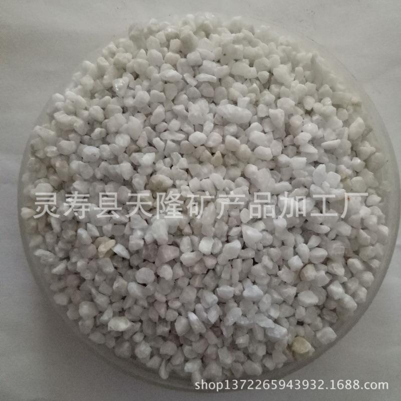厂家供应水磨石 透水砖水磨石 园林造景水磨石石子 水族五彩石