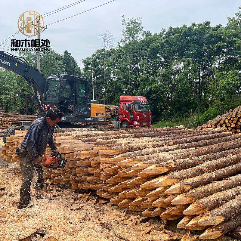 原木价格河道树木打桩杉木桩绿化苗木支撑杆实木一件河道打桩