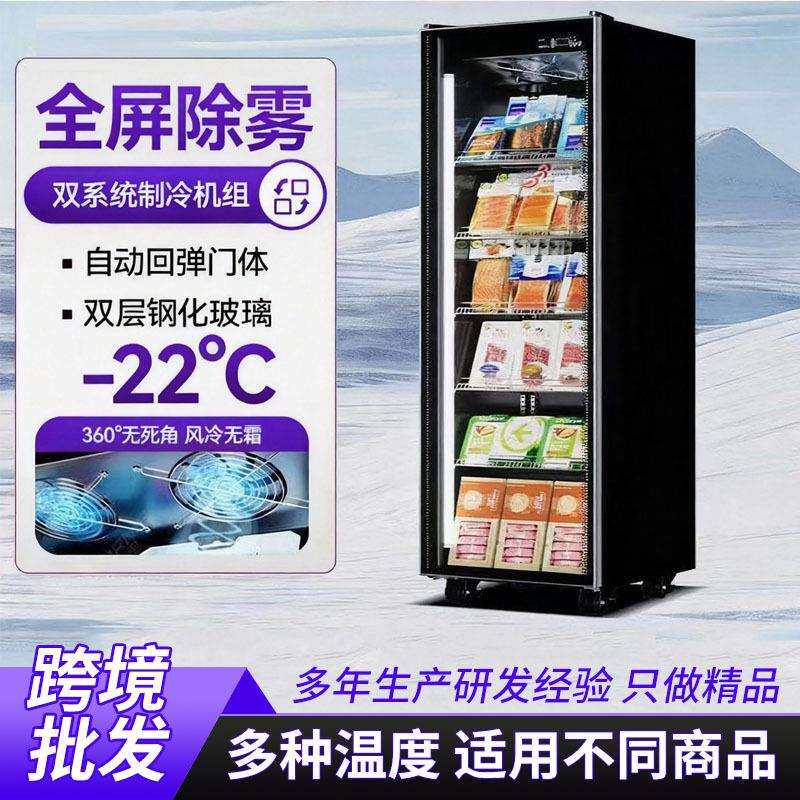 跨境商用冷冻展示柜急冻肉类榴莲雪糕超市立式冷柜单双玻璃门冰柜