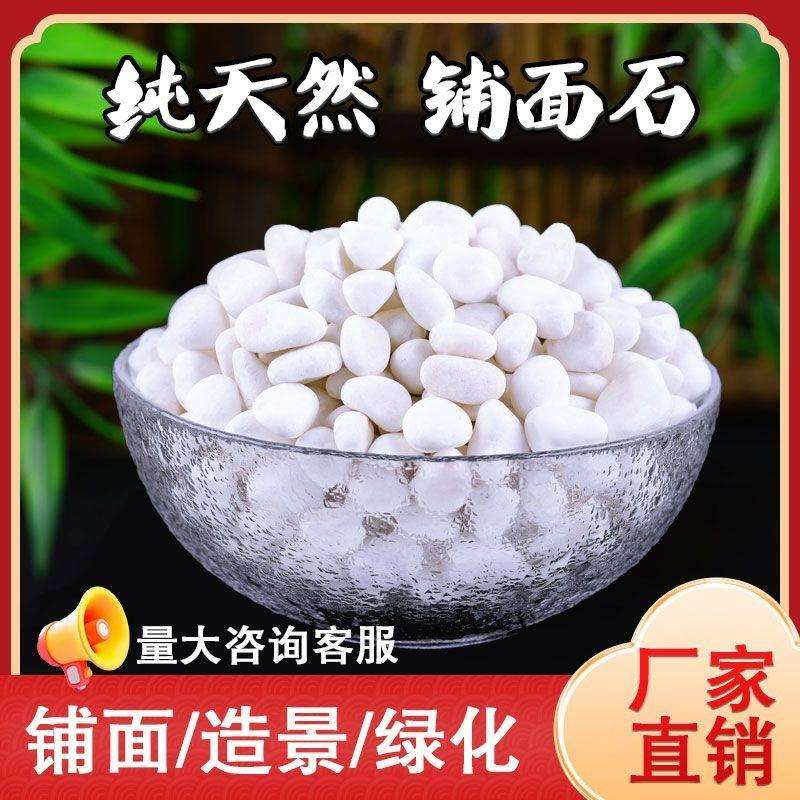 40斤装天然白石子园服艺盆栽石头多肉铺面郁金香庭院造景